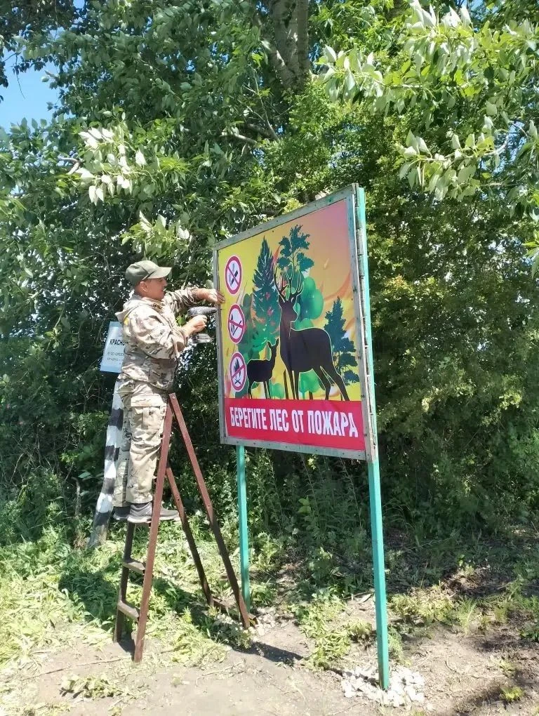 Партнером и единомышленником участкового лесничего Краснозоренского участкового лесничества Александ