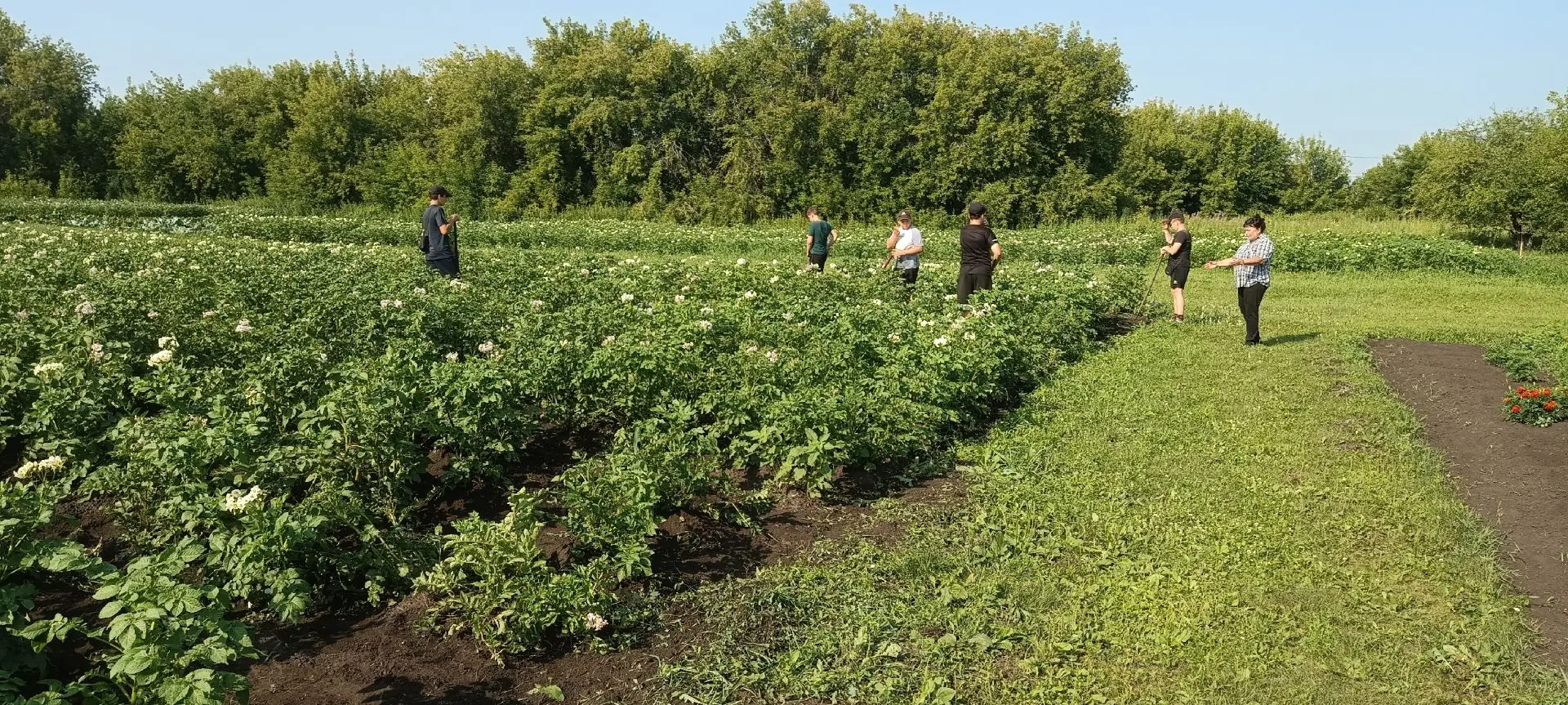 #Образование45
#ТрудовоеЛето
#ШатровскаяСОШ
❗️Заканчивается третья смена работы шатровских школьнико