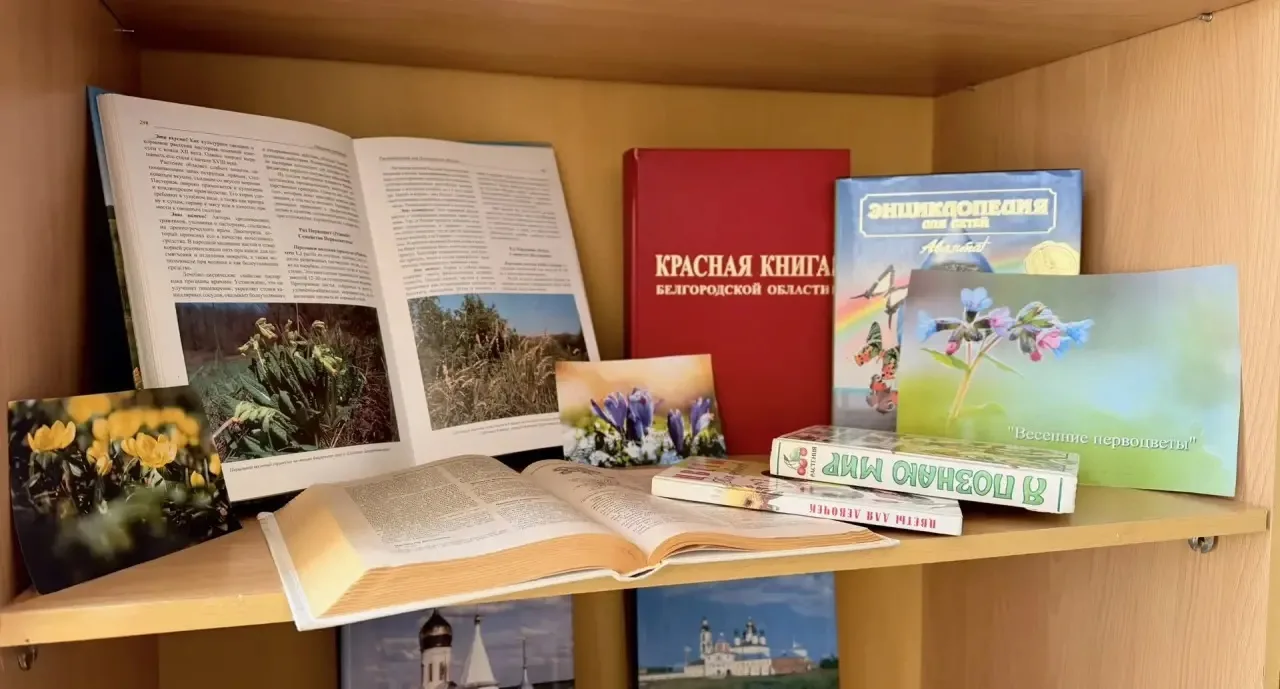 В нашей школьной библиотеке проходит книжная выставка "Весенние первоцветы" 🌸📚, на которой представл