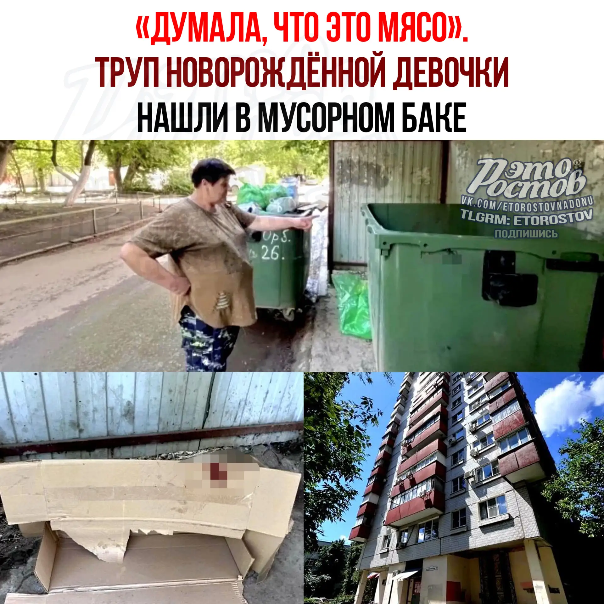 💔 «Думала, это мясо»: как нашли тело новорождённой девочки в мусорном баке в Ростове