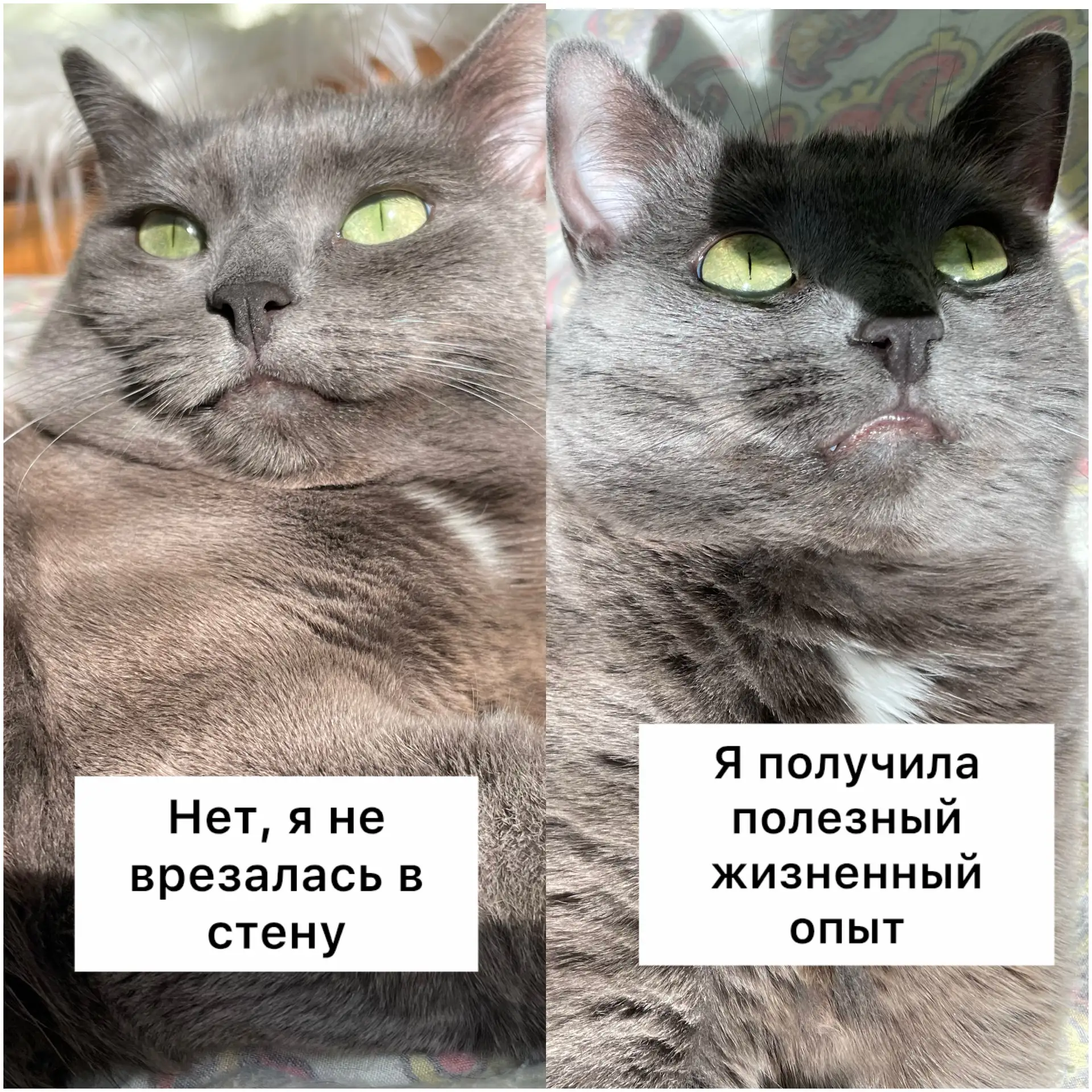 А вы как думали?