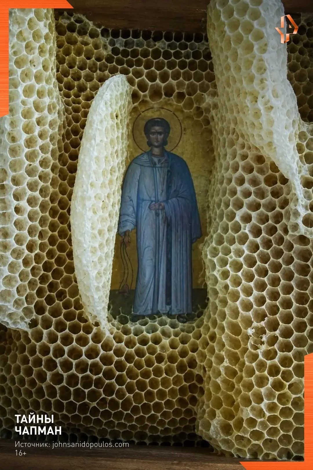 ☺️Это праведные пчёлы. И они делают правильный мёд. 

🐝Пчеловод из Греции уже больше десяти лет кла