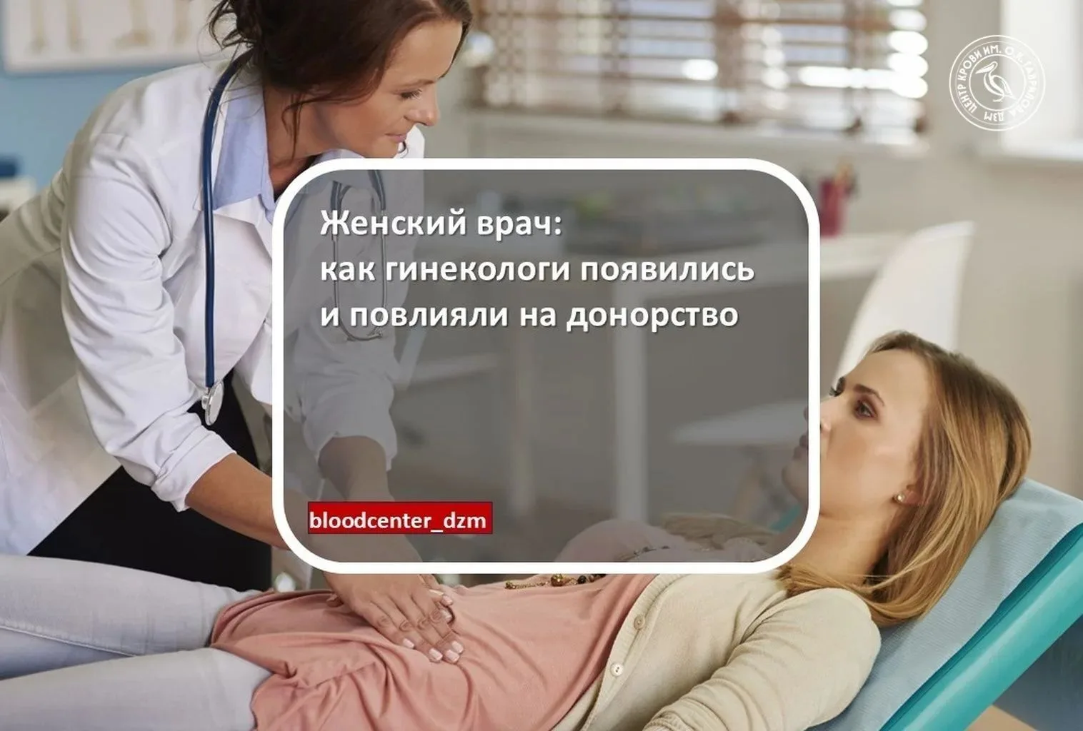 Женский врач: как гинекологи появились и повлияли на донорство