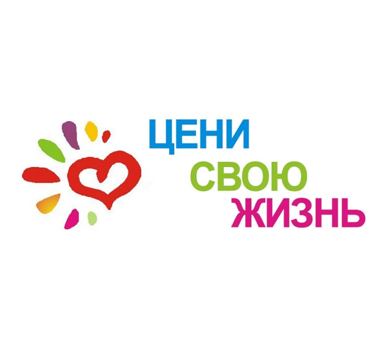 ❤ ЦЕНИ СВОЮ ЖИЗНЬ 
 
🌵 КОЛЮЧКА 
 
В рамках курса занятий "Цени свою жизнь" учащиеся 5А и 5Б классов