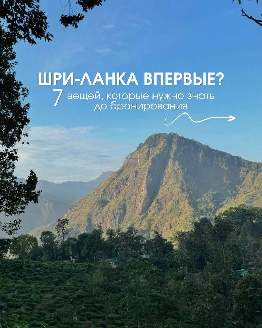 🌴 Шри‑Ланка впервые? Сначала месяц, потом курорт — иначе рискуете получить не тот отды...
