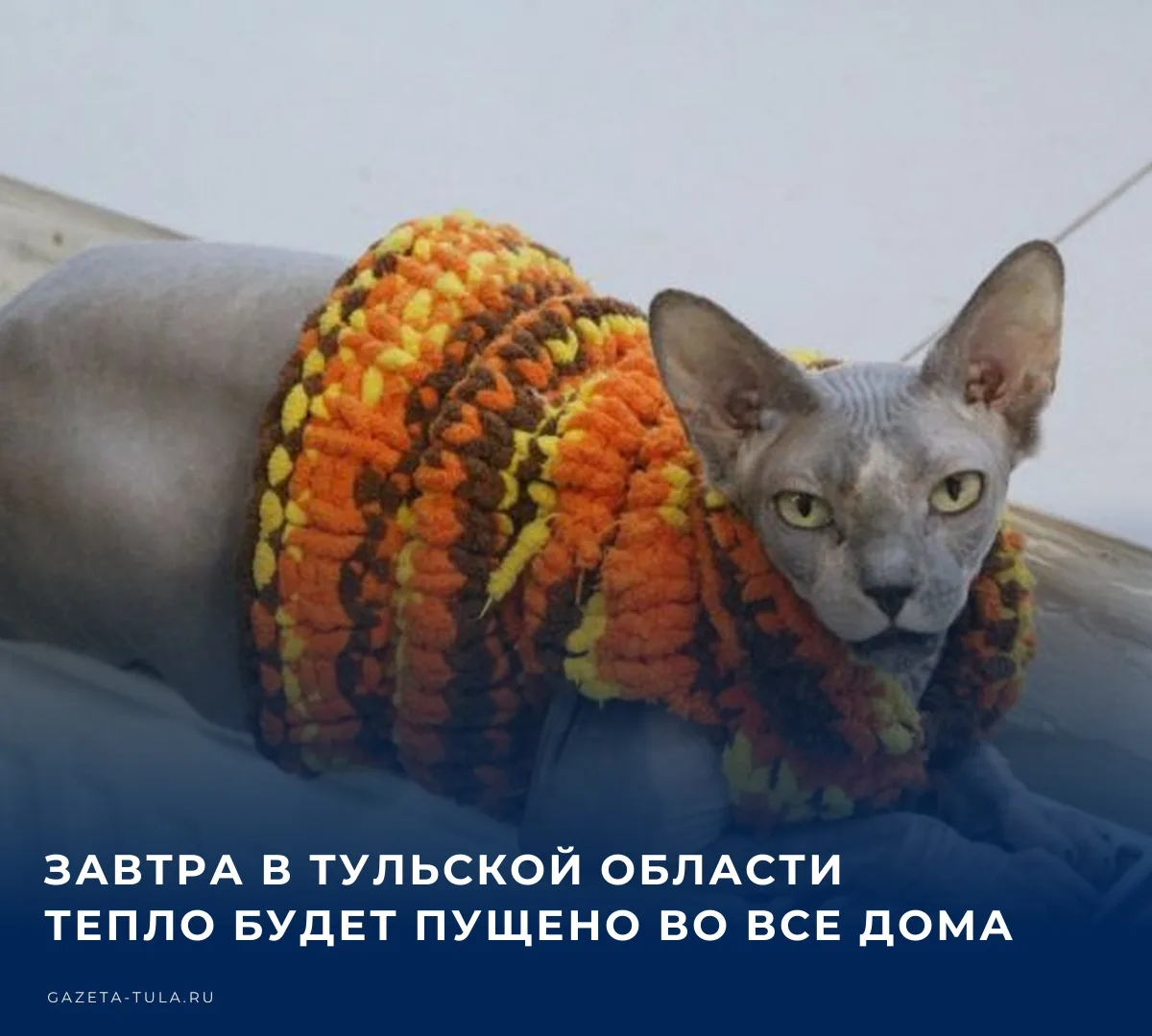 ⚡️ В Тульской области стартовал отопительный сезон. На данный момент коммунальными служ...