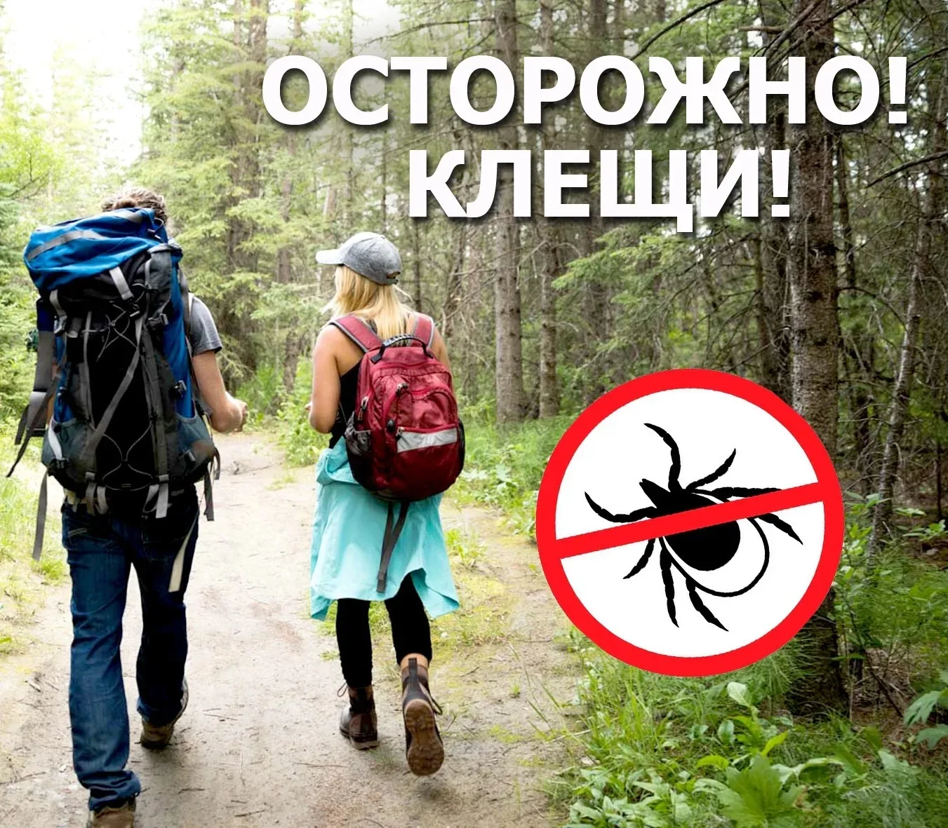 🕷Друзья, впереди выходные. Будьте осторожны: сезон клещей в разгаре! В этом году их ос...