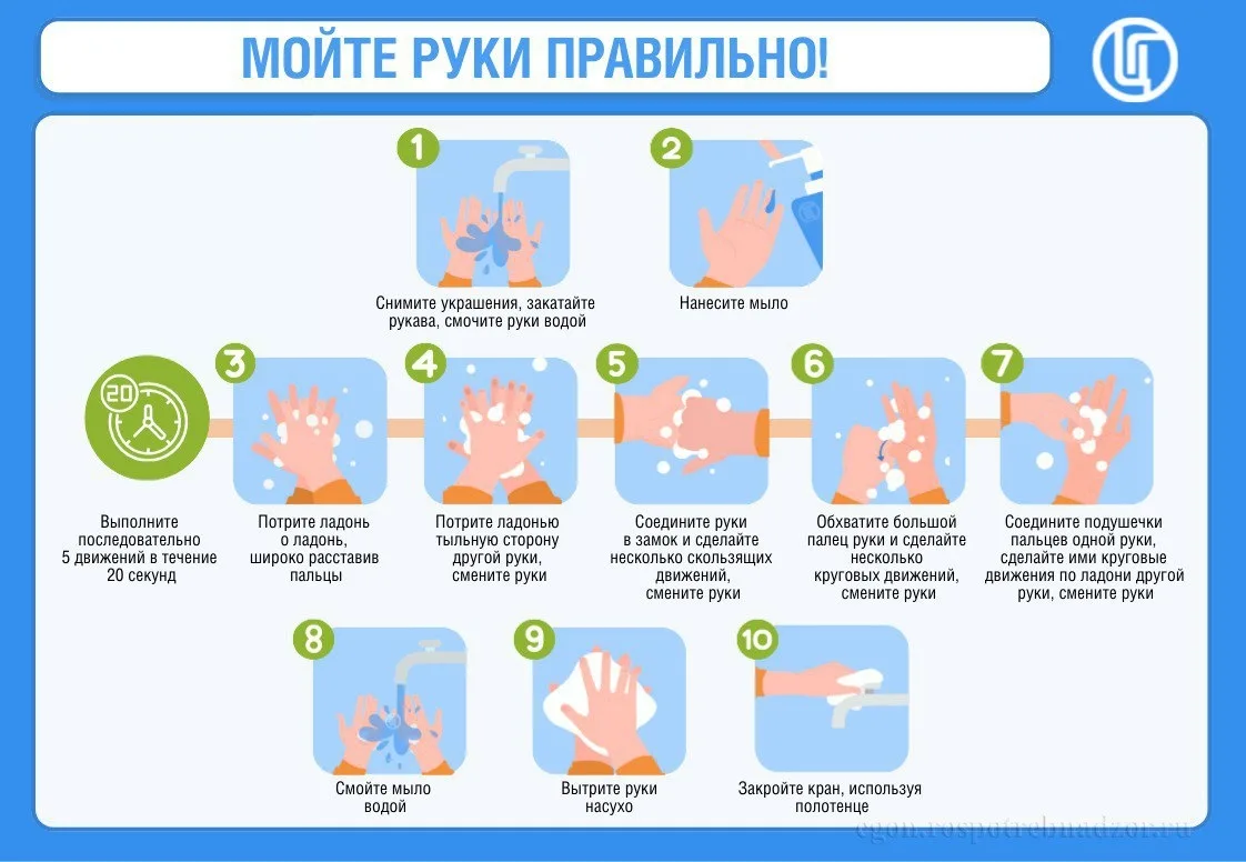 Почему мытье рук – это главное правило личной гигиены?