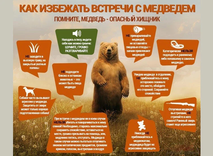 Уважаемые жители, будьте осторожнее при посещении природы. 
Для того, чтобы обезопасить себя, пожалу