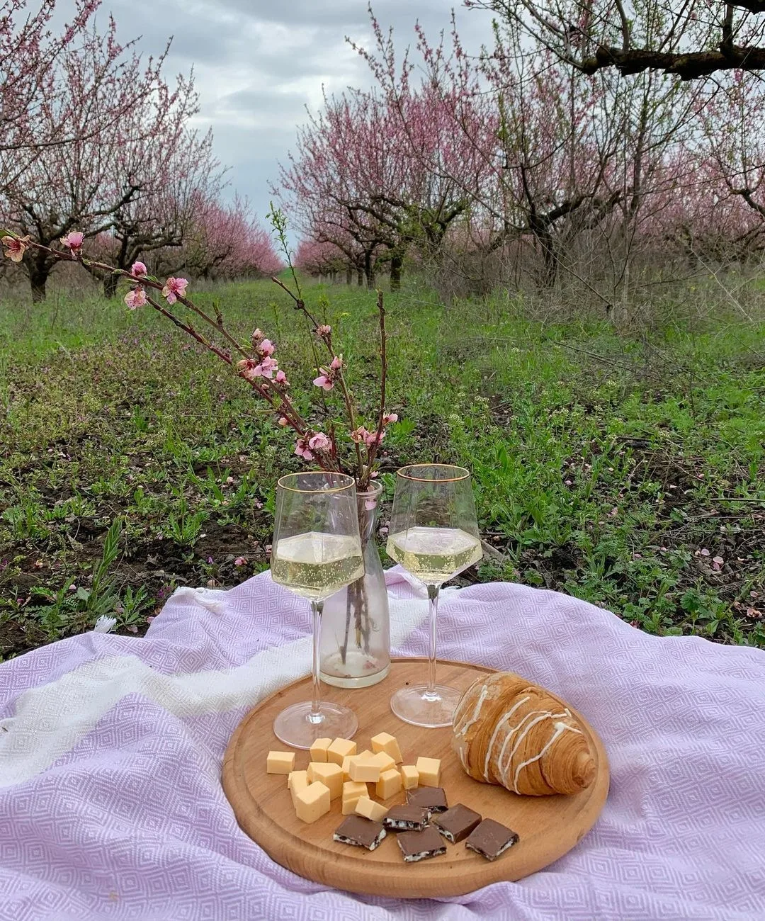 Пикник в весеннем саду 🌸🌿