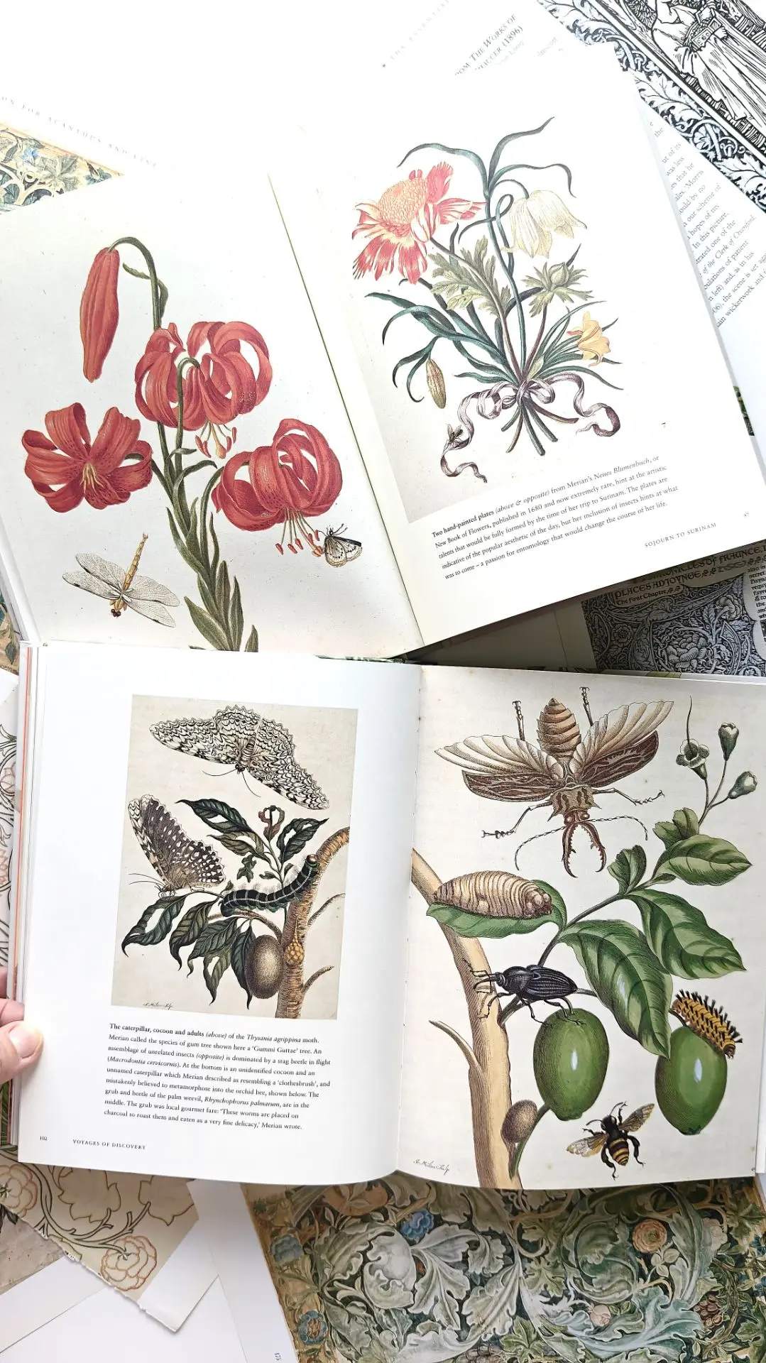 Великолепные произведения искусства и фотографии представленные в этой книге, охватываю...