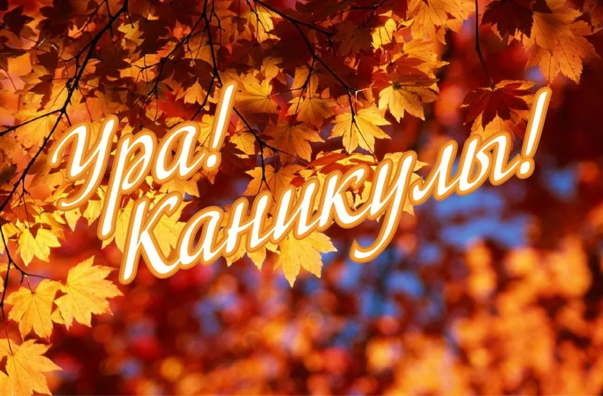 Школьникам напомнили о датах осенних каникул

Для школ, которые учатся по четвертям, рекомендованный