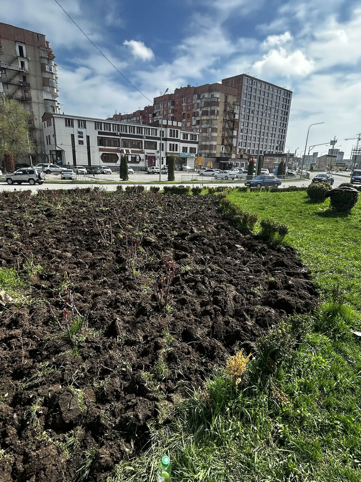 🌿 Город преображается — продолжаем сезонные работы