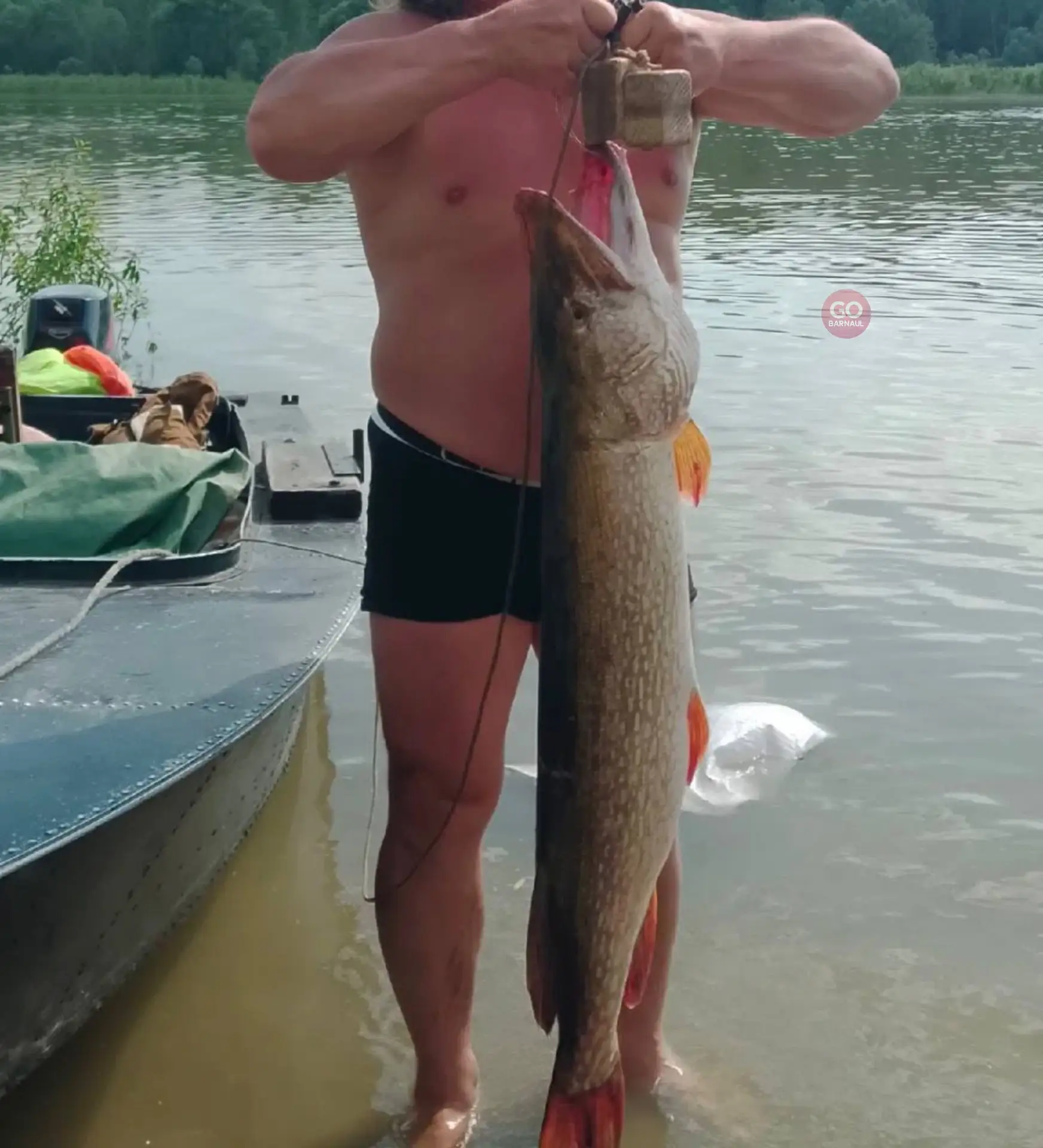 🎣 Гигантскую щуку весом более 10кг поймал рыбак  в Алтайском крае!

"Выловил щуку, на 10 кг 400 гра