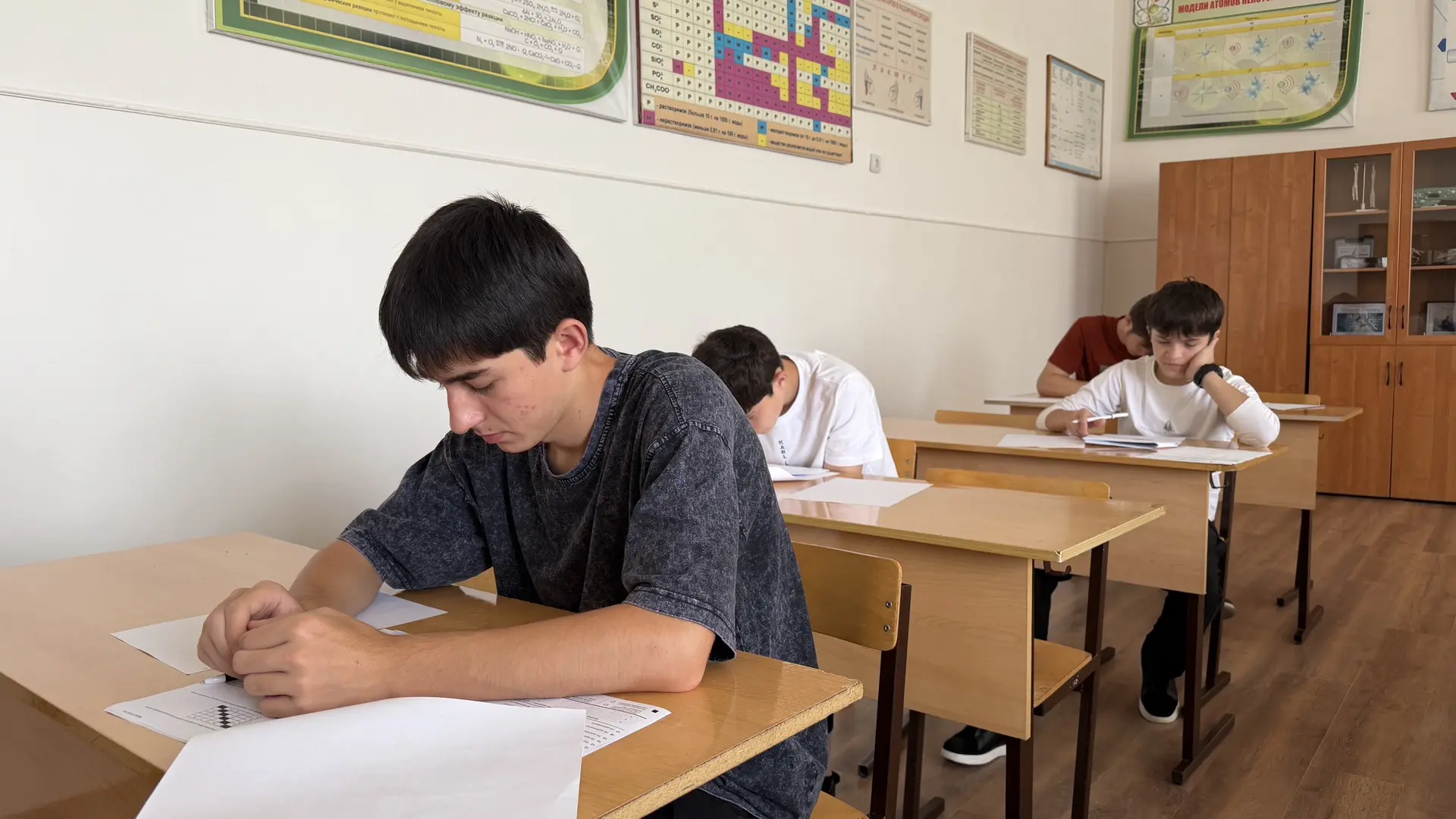 📚 Диагностическая работа по профильным предметам
