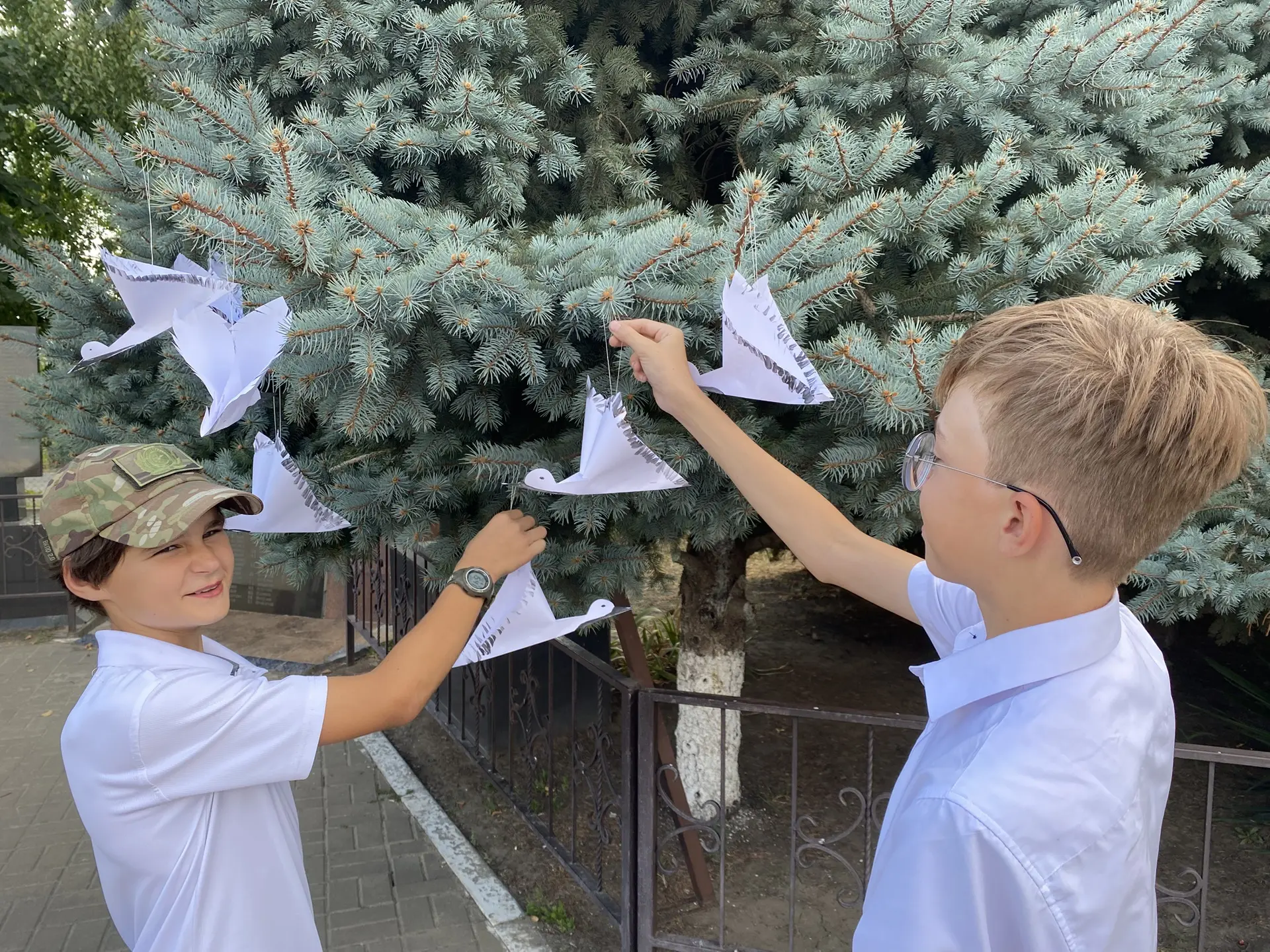 Белые журавли над площадью ДК 🕊