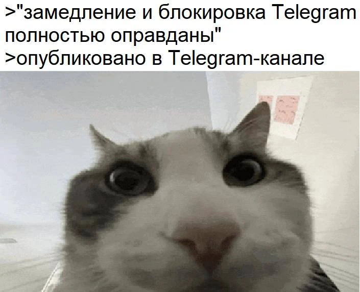 Жизненно.. 🤣
