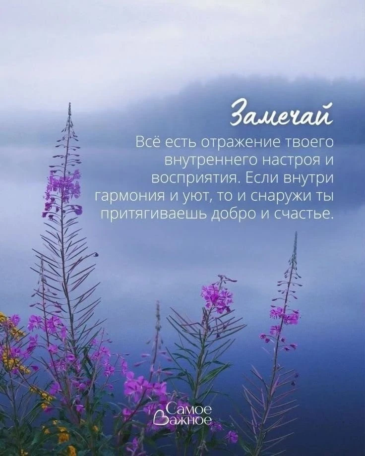Послание 💌 от Вселенной 🌌