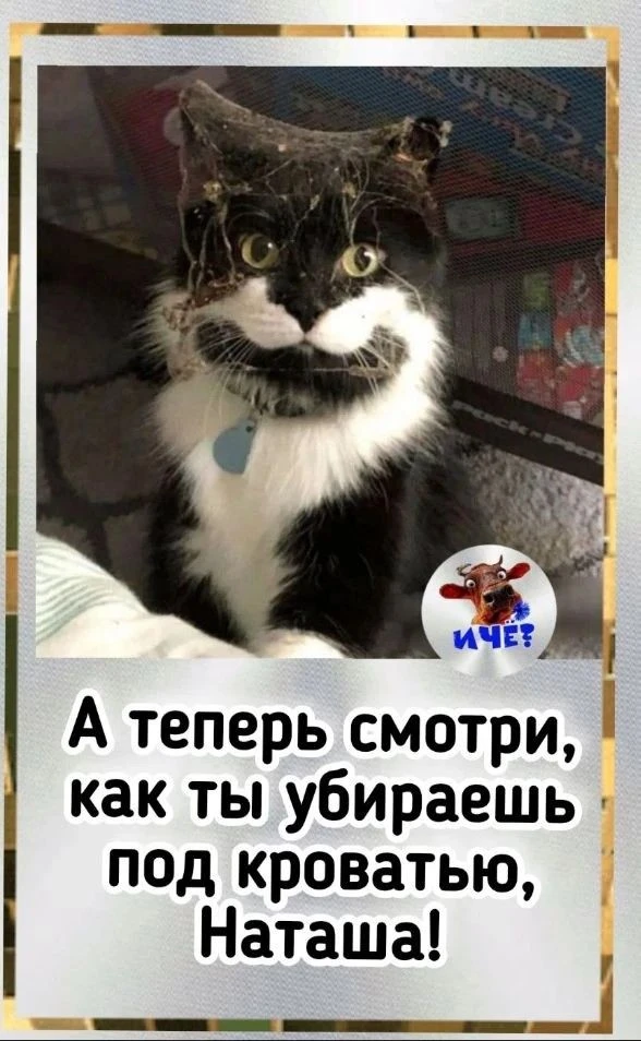 Юморнуло🤣