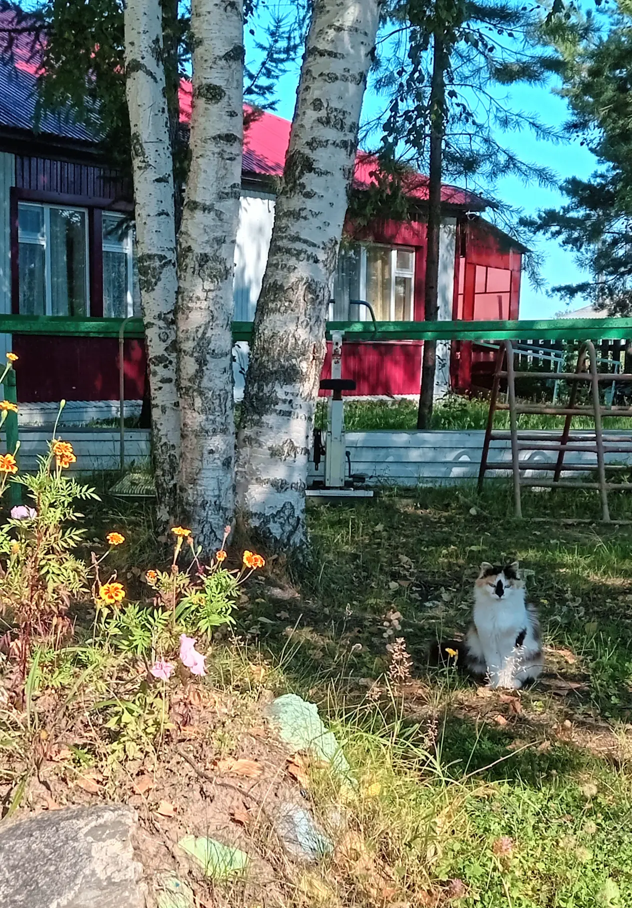 В августе многие люди испытывают чувство печали из-за окончания лета. Мы подготовили не...