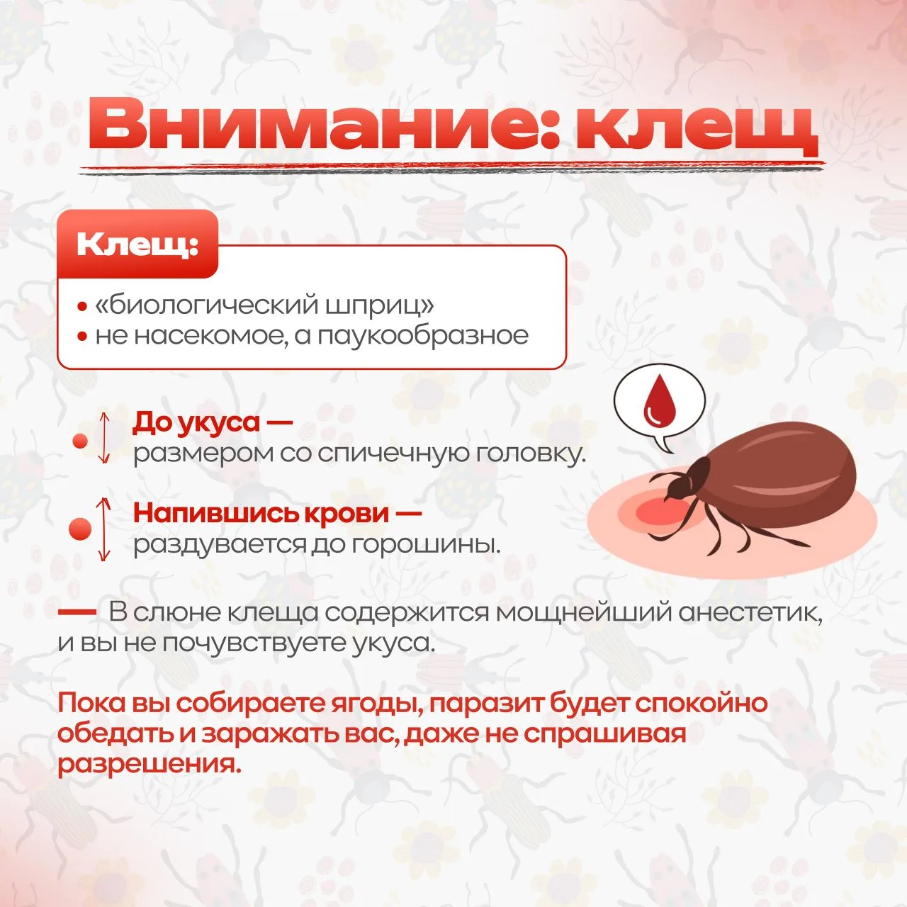 🕷️ Весна — время прогулок, солнца и… незваных гостей в траве. Клещи уже проснулись и поджидают момен