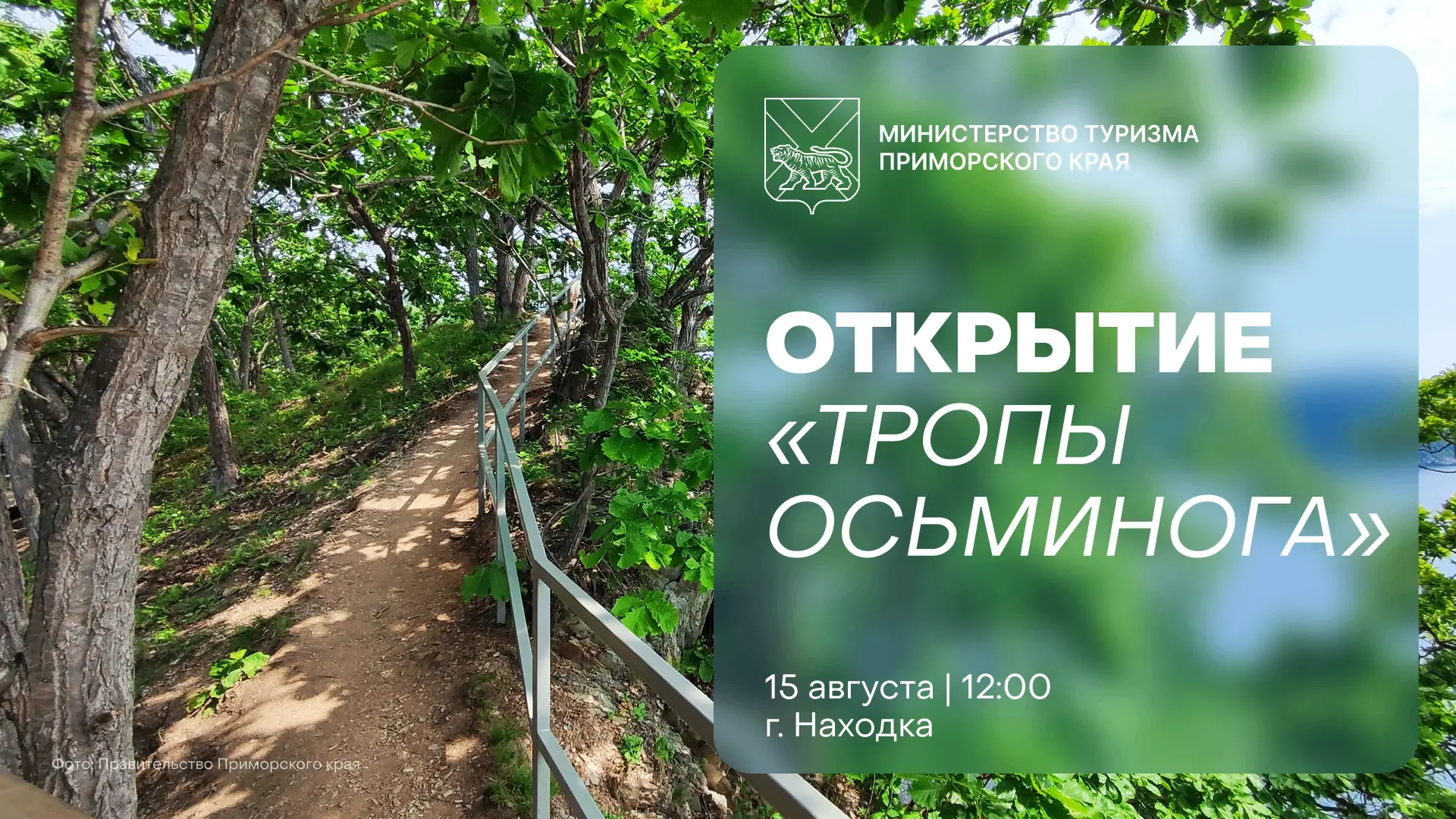 🐙 Три бухты и 6,2 км видов: в Находке открывают «Тропу Осьминога»