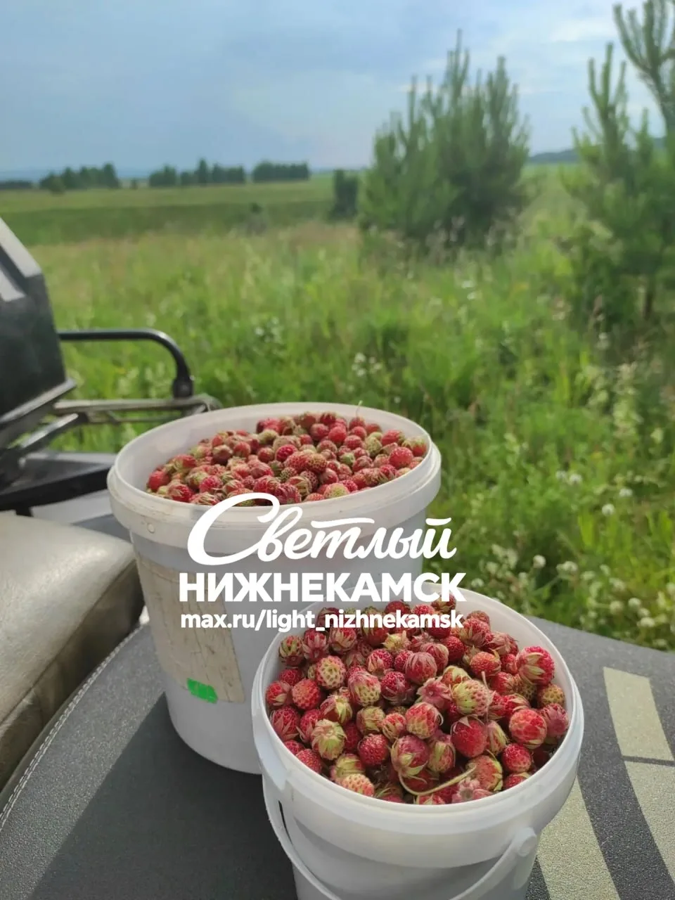 🍓 В Смыловке собрали урожай ягод

Подписчики прислали фото собранного урожая ягод в Смыловке.

А вы