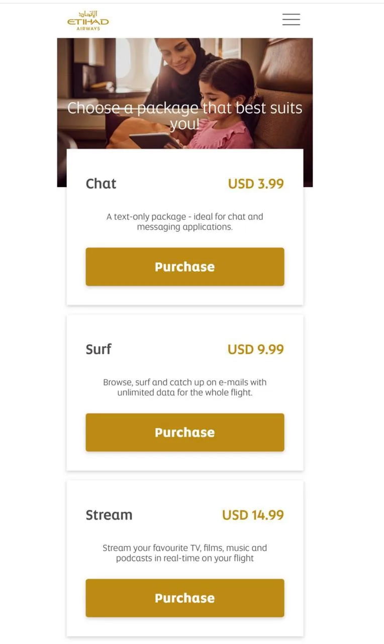 Подключил сейчас интернет во время полета! У Etihad Airways доступны три тарифа. Дальше мое вольное 