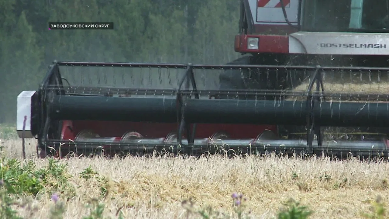 🚜 Аграрии двух округов Тюменской области завершили уборочную кампанию.