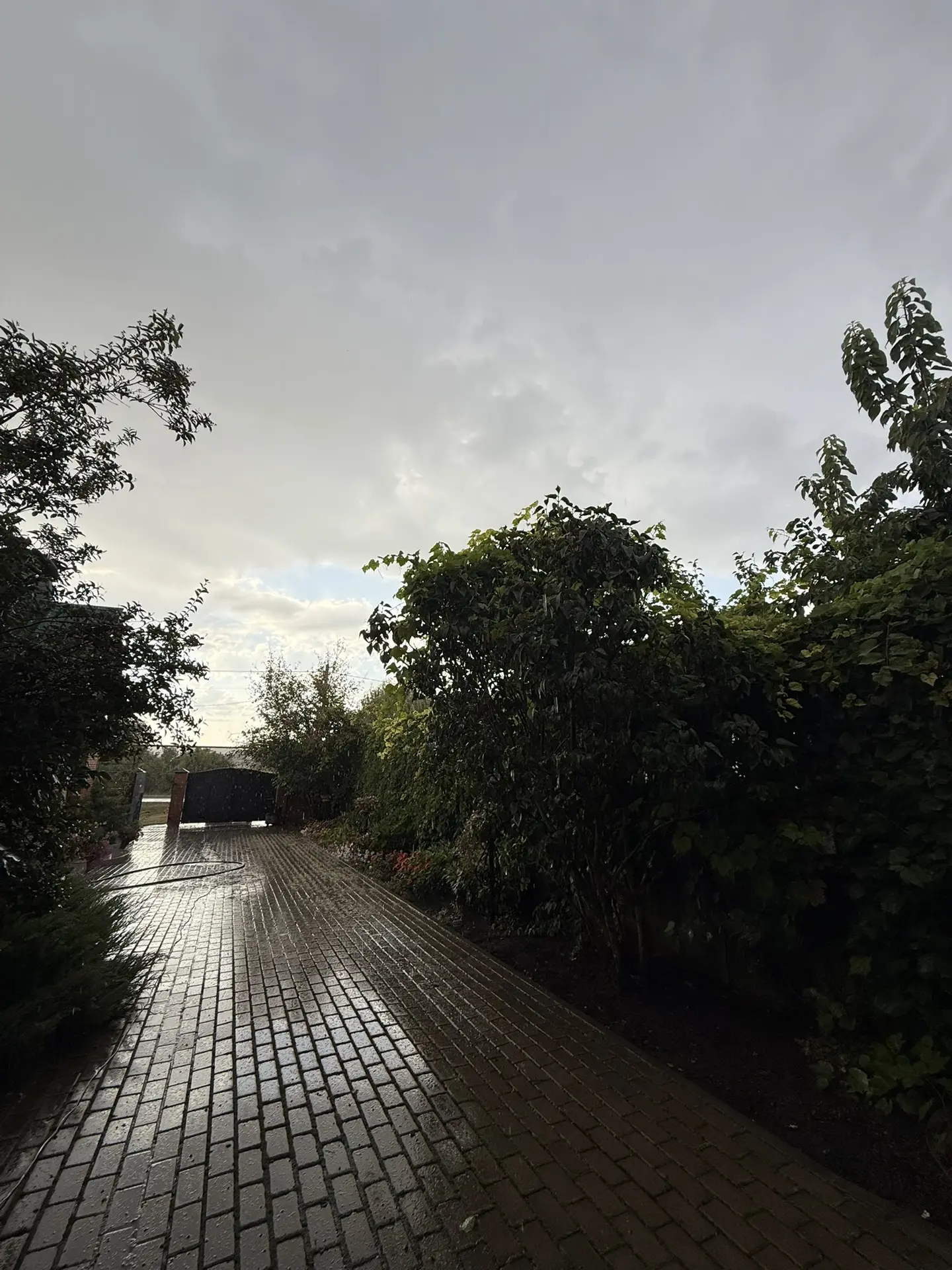 Хорошо так пыль прибил💪🌧️