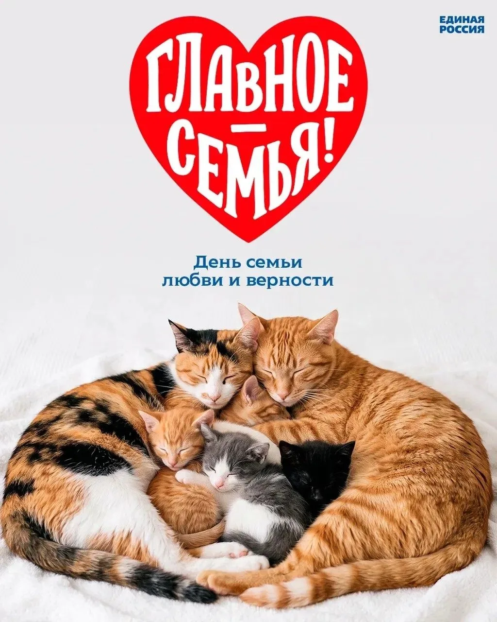 С Днём семьи, любви и верности! ❤️