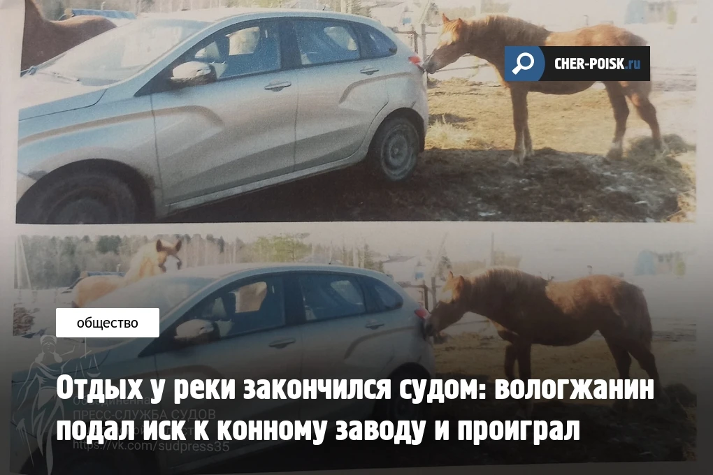 Необычный судебный спор между владельцем автомобиля и конным хозяйством завершился в Вологодской обл