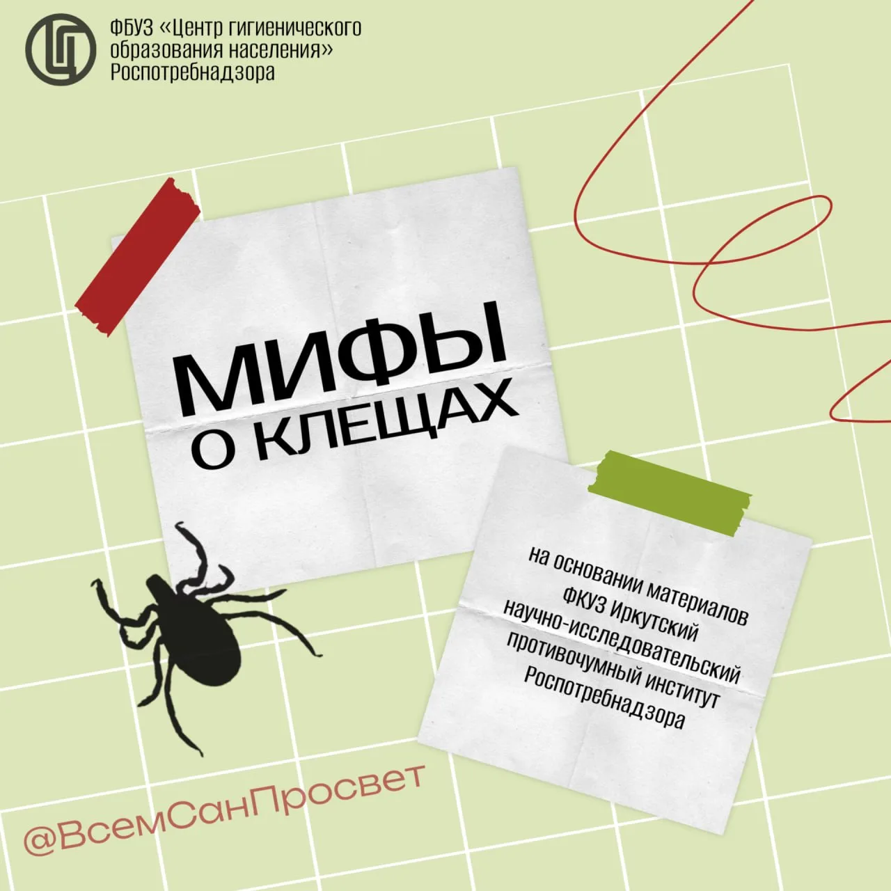 Мифы о клещах 👀