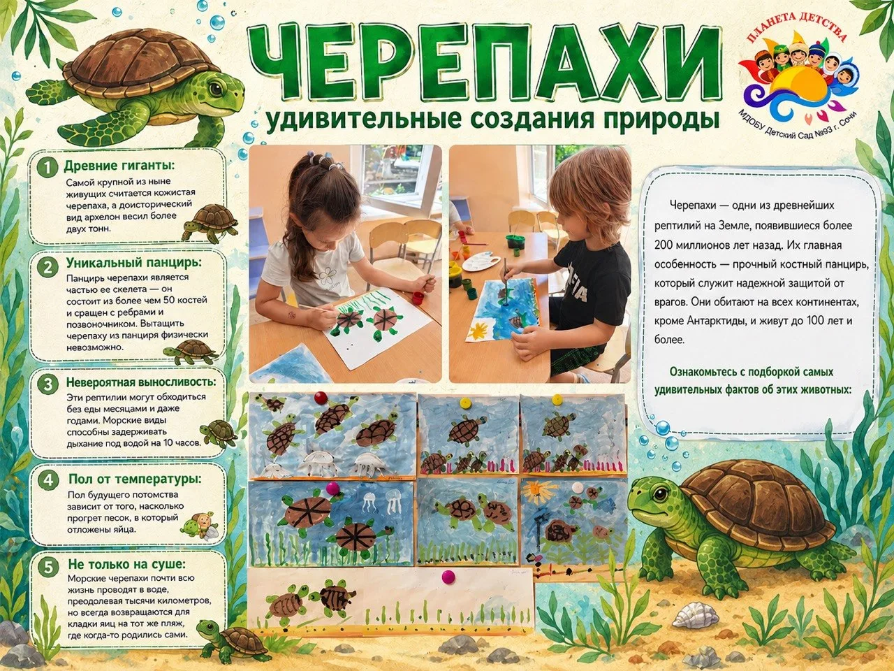 Дети — художники и исследователи природы 🐢🎨
В подготовительной группе прошло творческое занятие: р