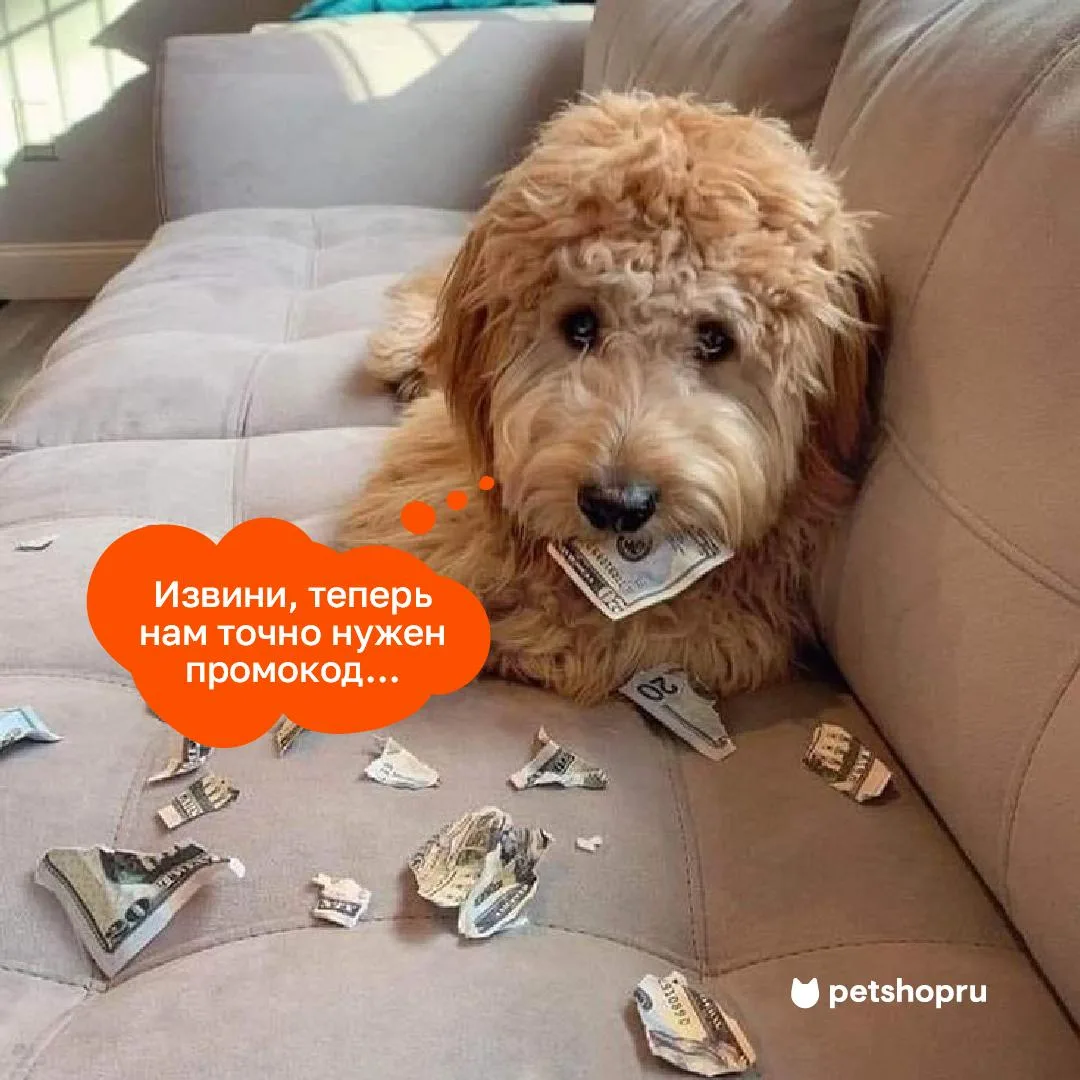 Ой... 🙄💸 Ну что ж, теперь промокод действительно не помешает!