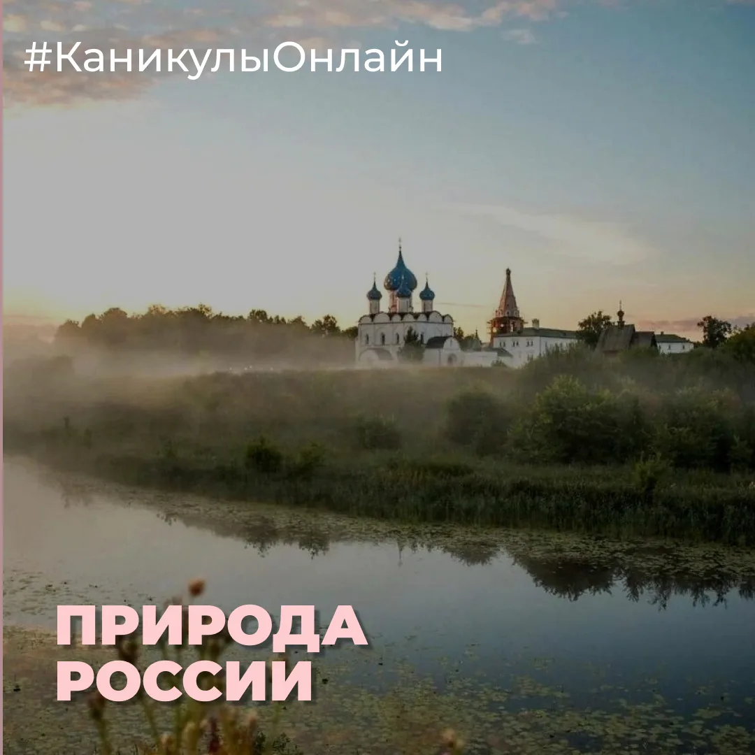 🌿 Природа России — наше богатство и гордость!