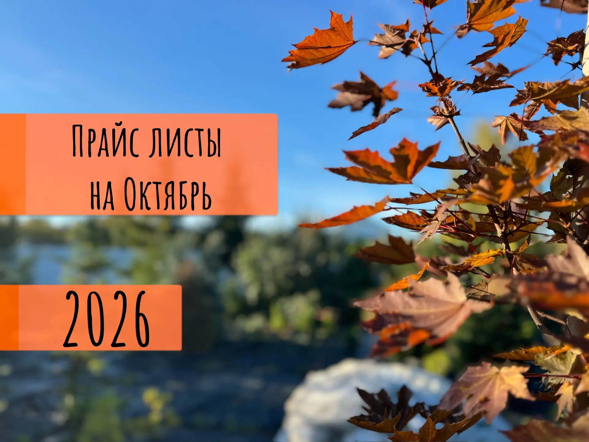Доброе утро ! Выкладываем прайсы на октябрь ✅🪴🌲🏡🤩