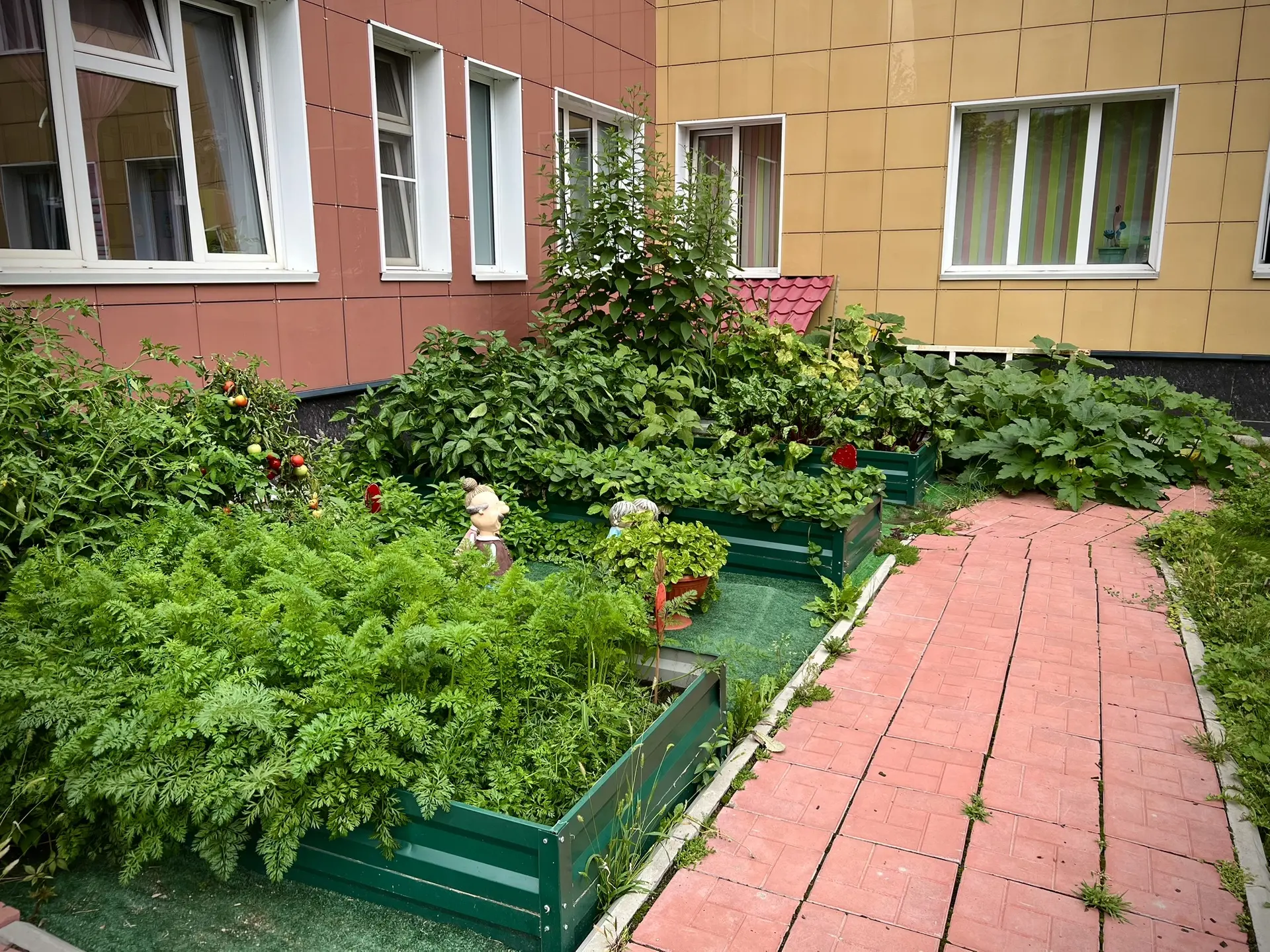 Давайте заглянем на наш огород? 👀🥕