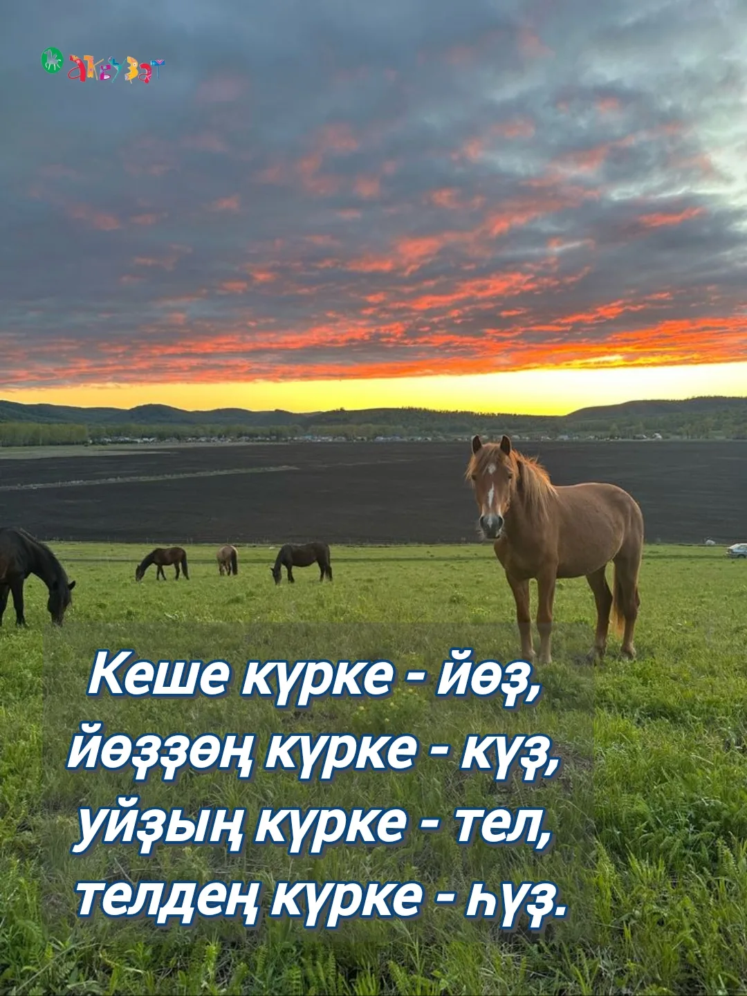 #мәҡәлдәр