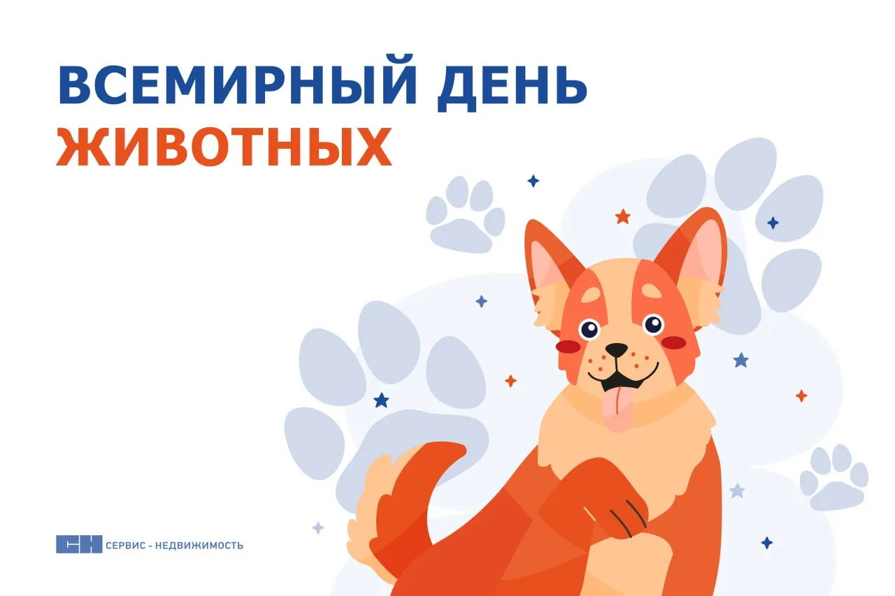 4 октября отмечается Всемирный день животных 🐶