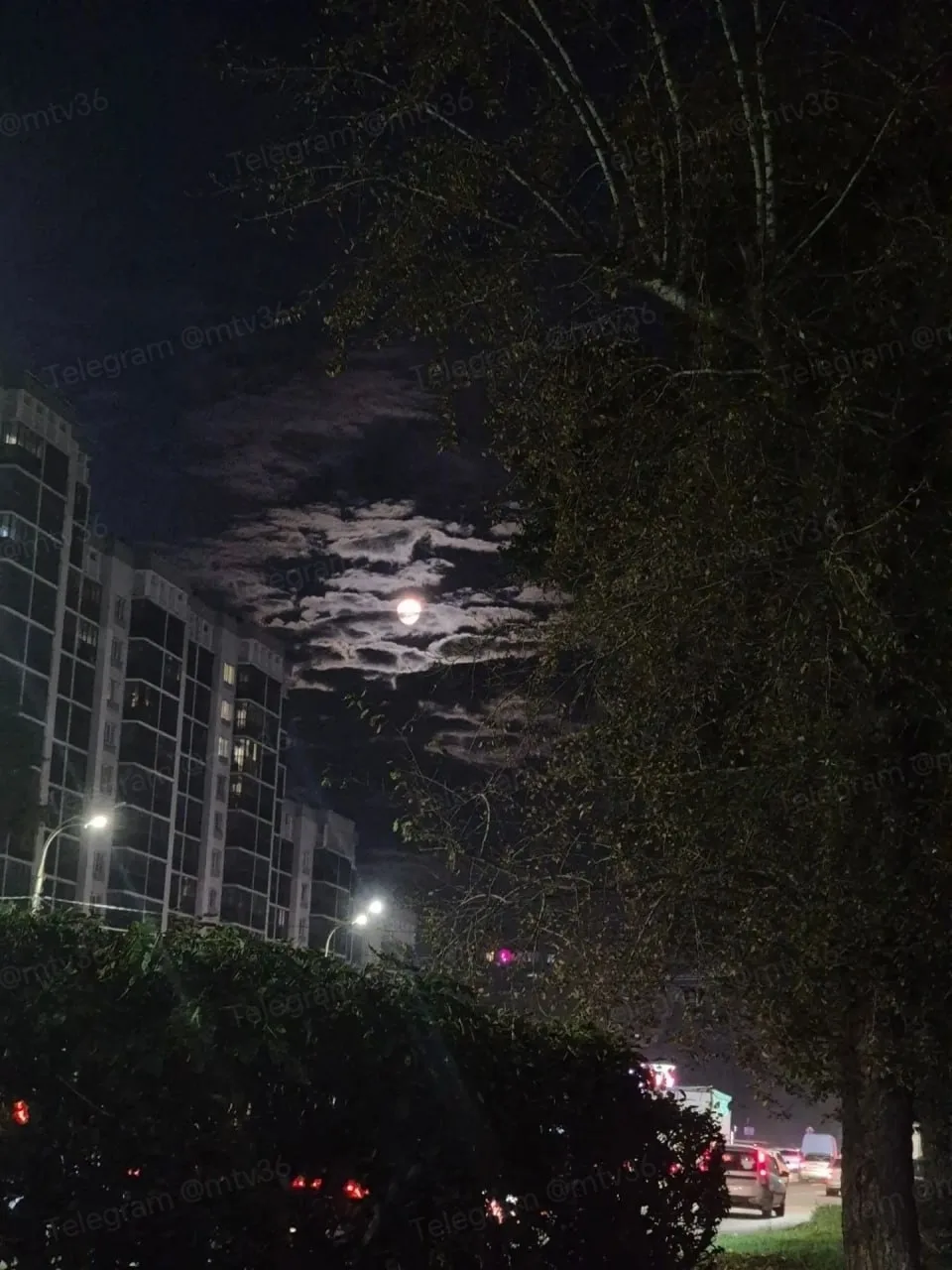 🌚📸 Луна поразительно красивая!