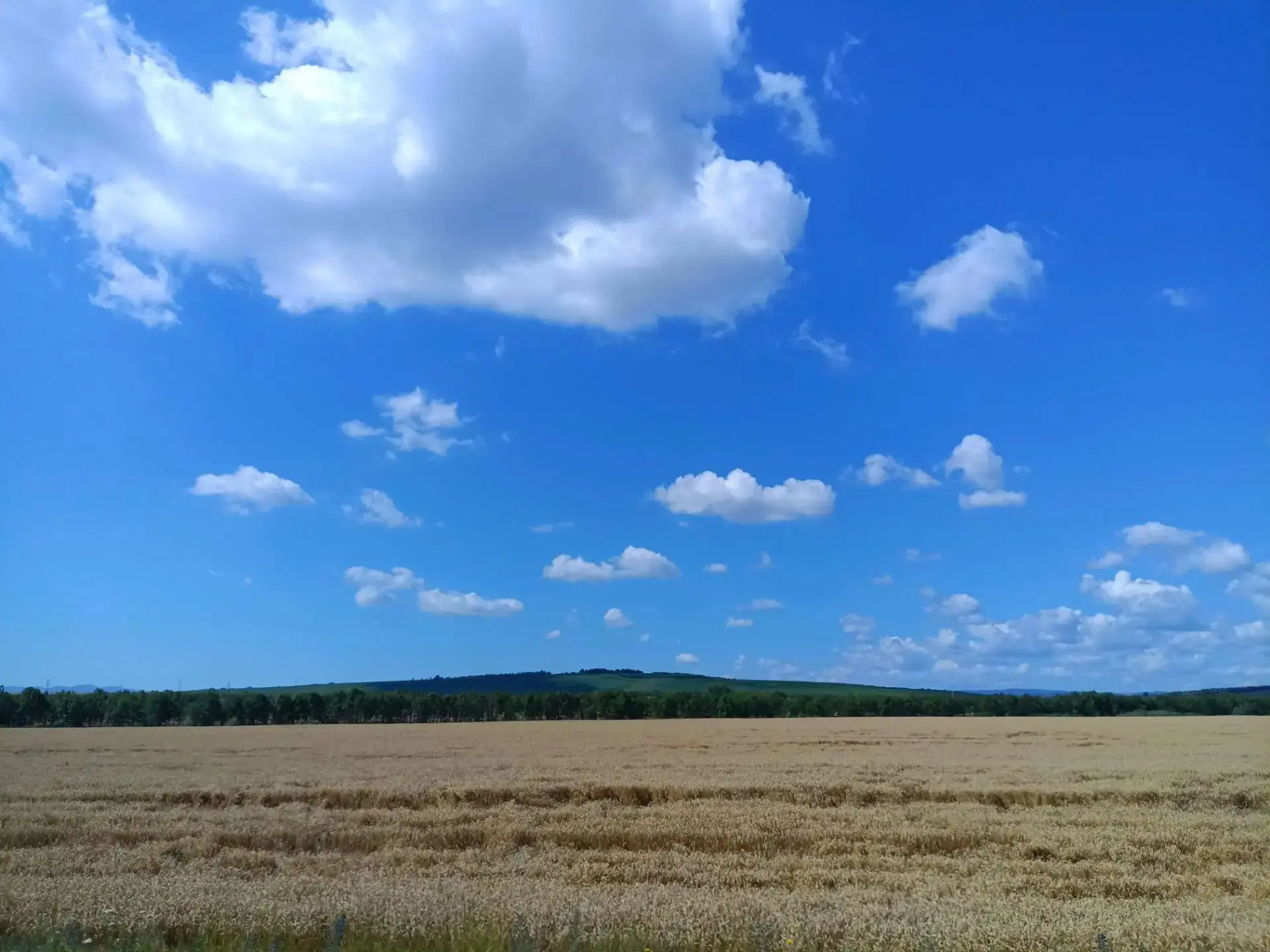 Доброго утра и с новым днем вас, дорогие читатели!😊