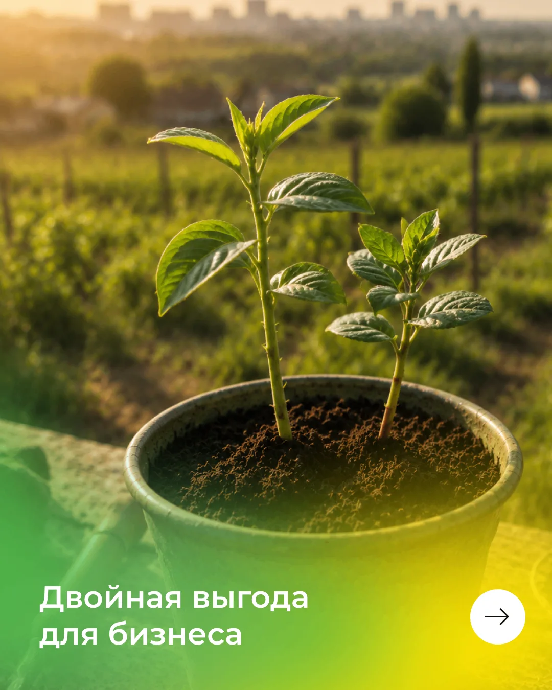 Каждый бизнес дарит радость по-своему, а мы увеличиваем её вдвое