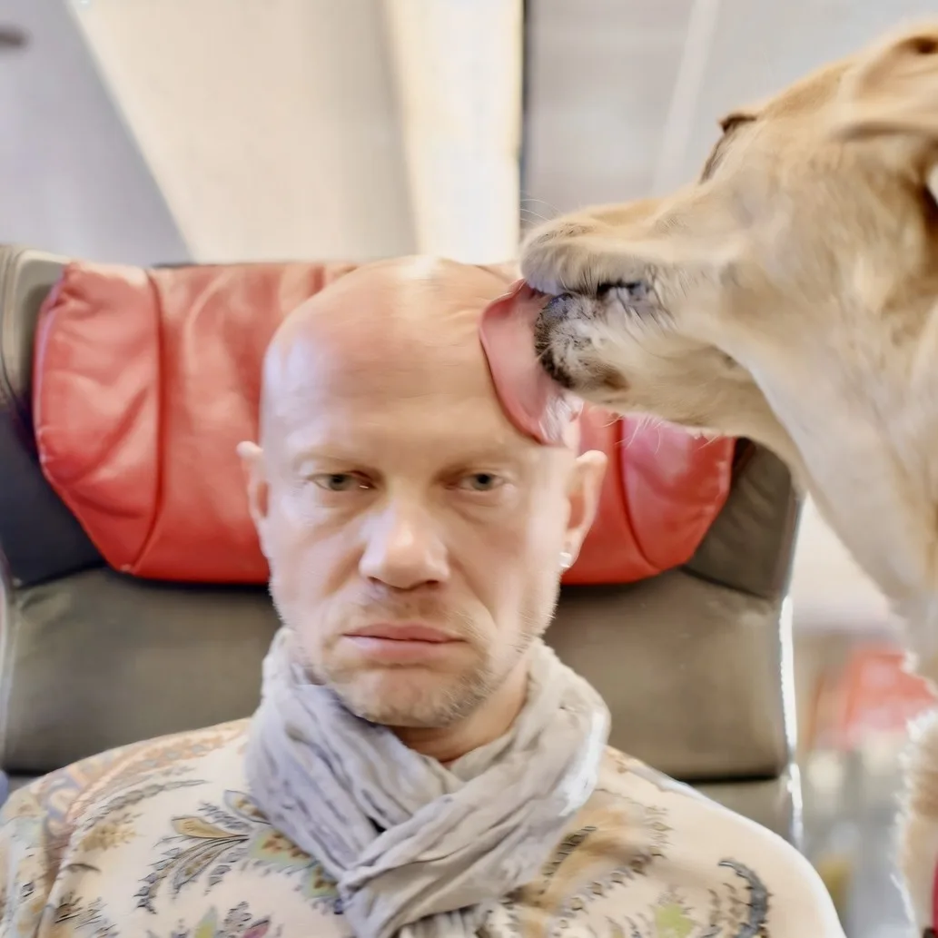 Кошки или собаки? А может, дружба важнее? 🐶🐕
 
Семейная комедия «Дени и Мэни в кино!» уже в прокат