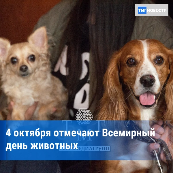 ⚡️У них нет голоса, но есть право на защиту: Всемирный день животных