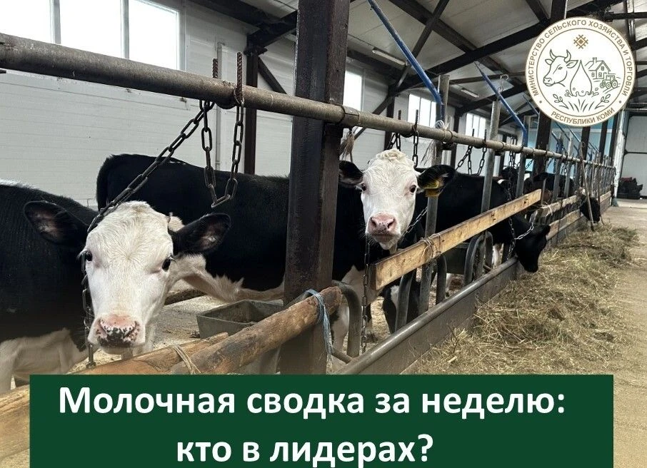 🐮Продолжаем делиться еженедельными итогами по молочной отрасли республики.