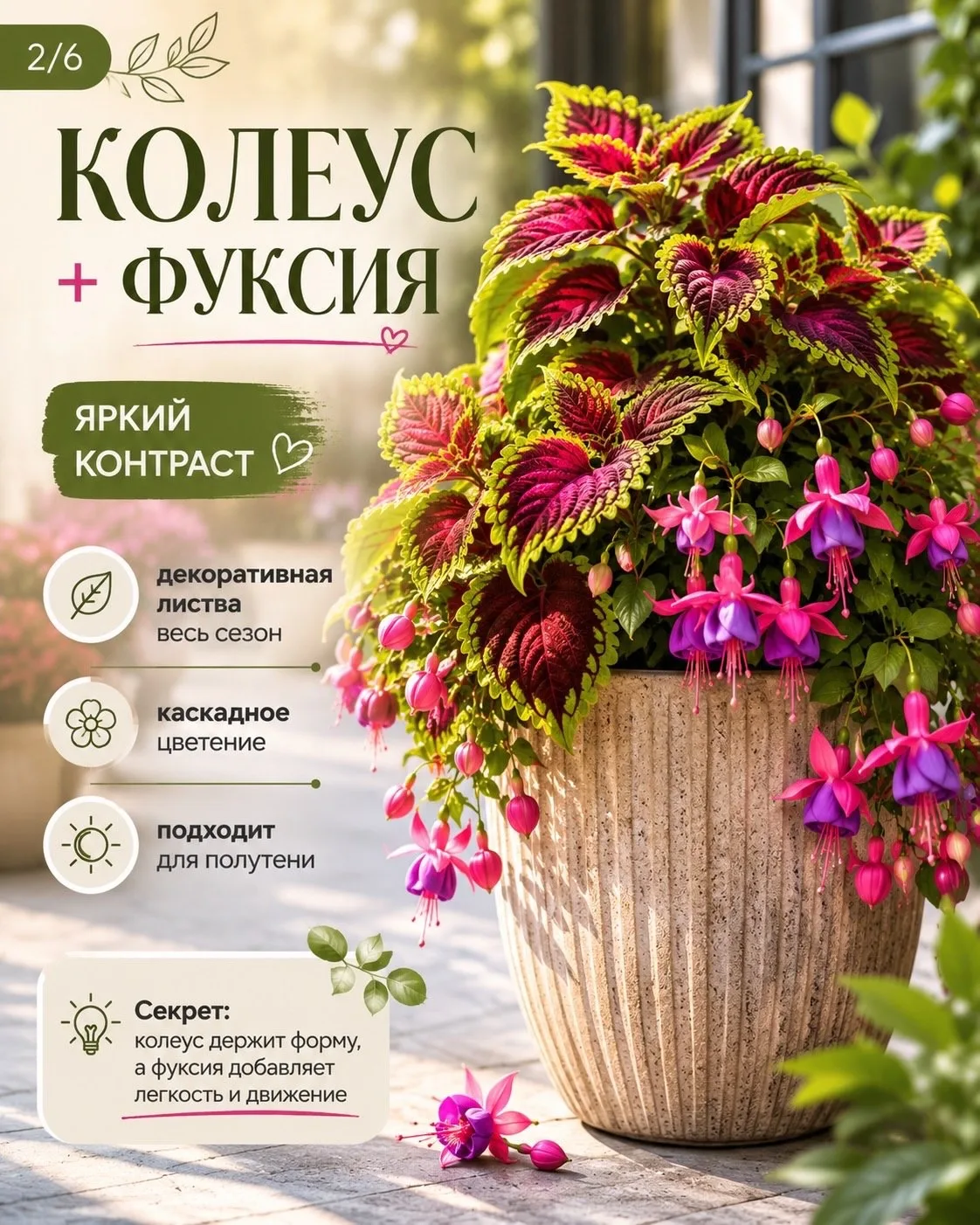 Цветы, которые идеально смотрится вместе 🌺🌾

ПР | Про Растения