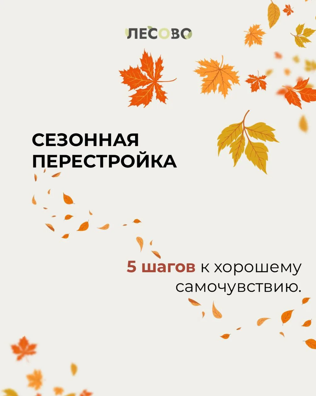 🍂Осень - время, когда организм особенно нуждается в поддержке.
