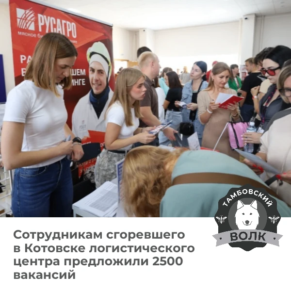 💼 Поддержка жителей Котовска: 2500 вакансий для сотрудников склада