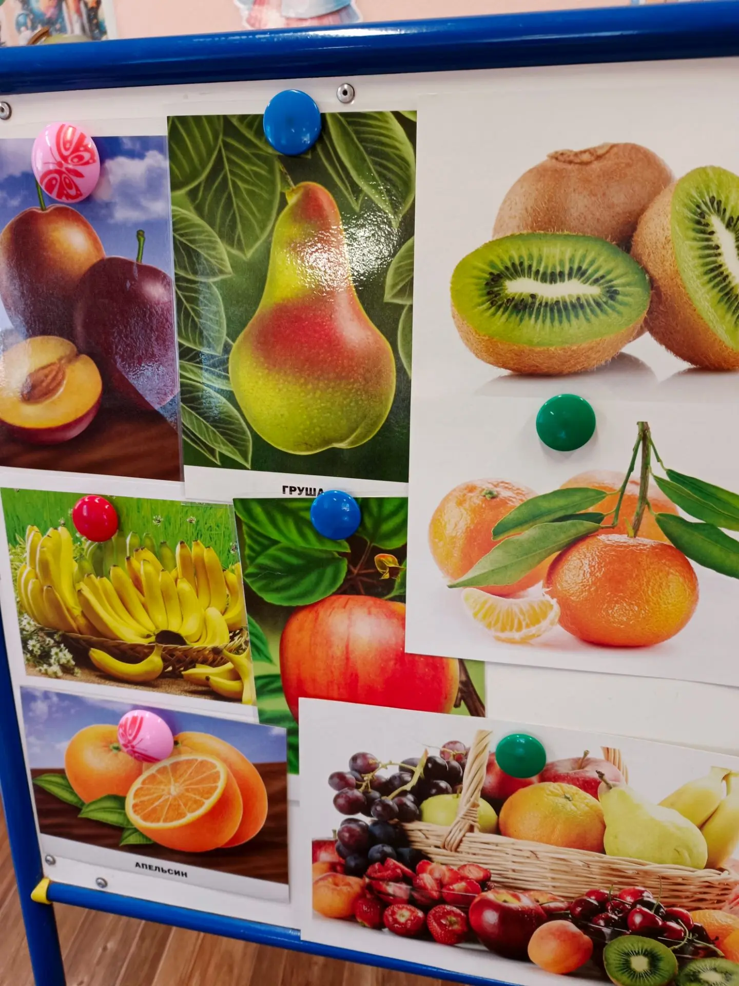 Лепка «Фрукты»🍐🍎🍊🍋🍌